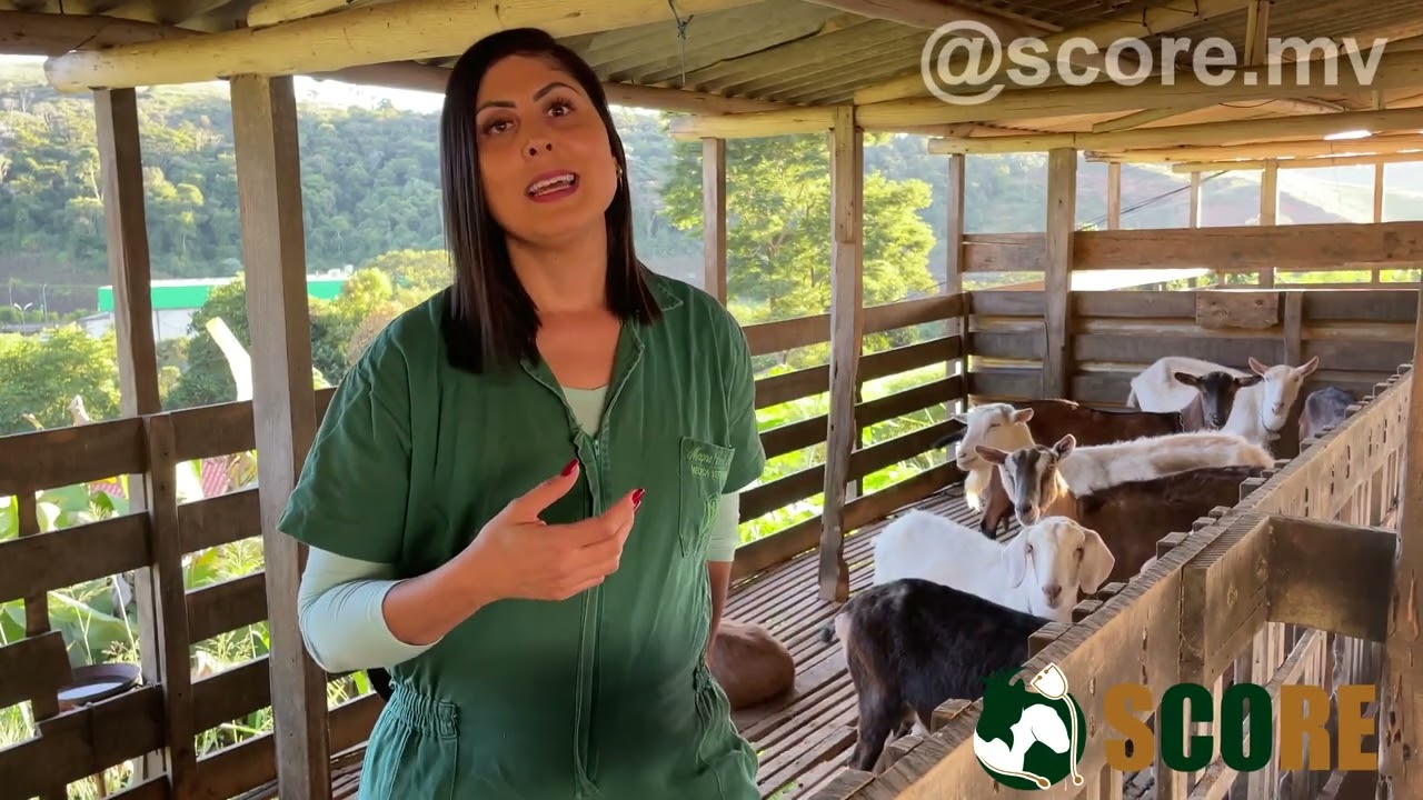 Benefícios do leite de cabra