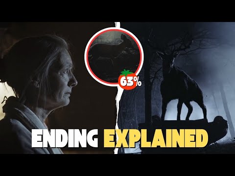 9 Is This The Biggest Leak In History The Bambi Doe Timeline Explained