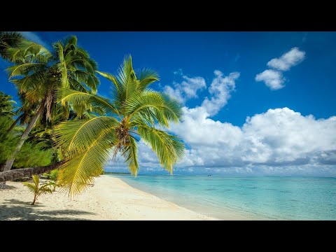 Endless Beach - 5 Minutes Relax and music