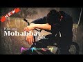 Hum Unse Mohabbat Karke Din Raat Sanam Rote Hain Whatsapp Status
