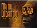 Manu Dibango -  Wilderness