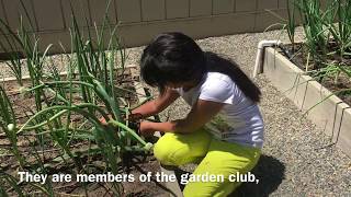 Wright Elementary Garden Club
