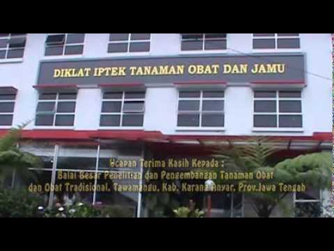 Apa yang harus makan untuk meningkatkan potensi Obat untuk mengurangi Potensi