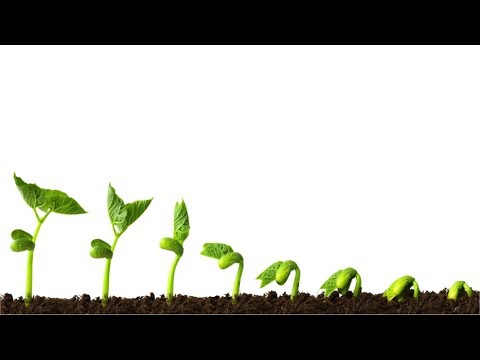 Engineering Probability Lecture 5: Discrete random variables