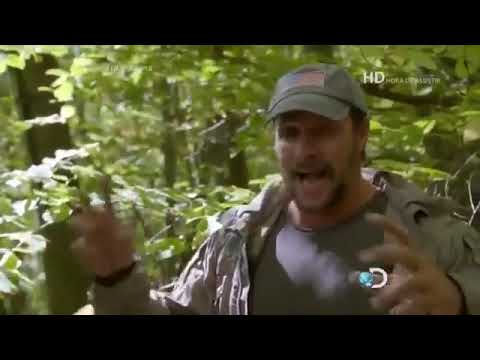 Desafio em Dose Dupla  ESPECIAL360P 2