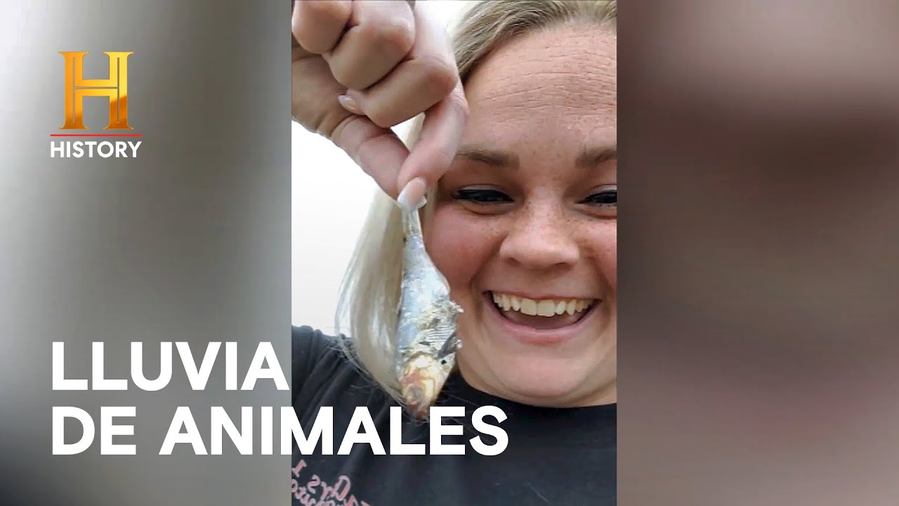 Lluvias Muy Extrañas - INCREÍBLE CON DAN AYKROYD