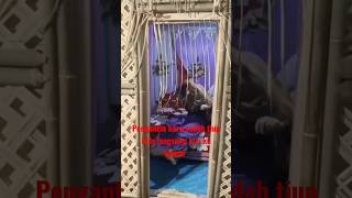 Download lagu Bikin Nyesek! Pengantin baru Masuk Kamar #shorts mp3