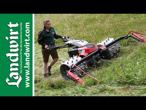 Aebi CC66 Motormäher | landwirt.com
