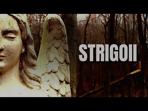 Marotinu de Sus si sufletele nelinistite ale strigoilor. Ce legende invaluie satul din judetul Dolj?