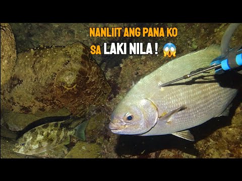 EPISODE 110 | NIGHT SPEARFISHING PHILIPPINES | Nanliit ang pana ko sa LAKI NILA 😱 | Drin's Adventure