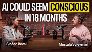 Download lagu Microsoft AI CEO on AI Consciousness & Artificial Companionship | Mustafa Suleyman mp3