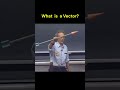 What Is A Vector