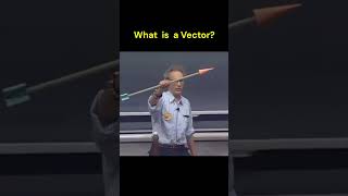 What is a vector?
