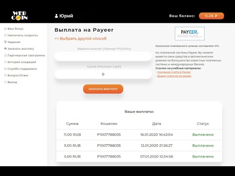 Web coin  Выводы с проекта