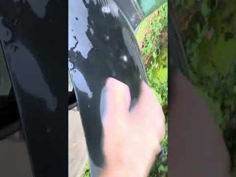 Thumbnail for 1953 Studebaker Walkaround by Studebaker