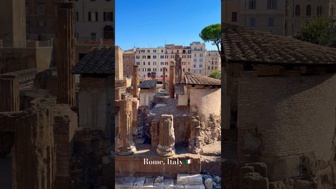 YouTube Short thumbnail