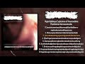 Cobblestoning Hyperbobilious Explication Of Amaranthine FULL DEMO 2023 Goregrind