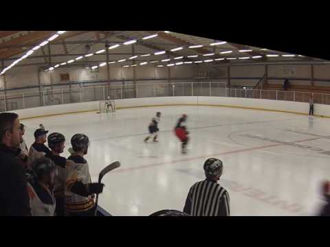Graham Lermitte Ice Hockey Goaltender - ÖIF vs Stortorparna February 2017