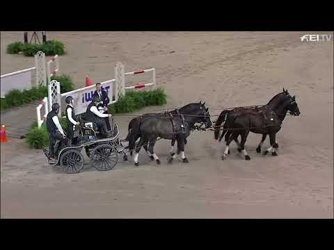 Preis der Firma iWEST - Boyd Excell