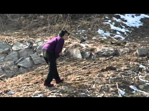 China and North Korea - The Great Escape