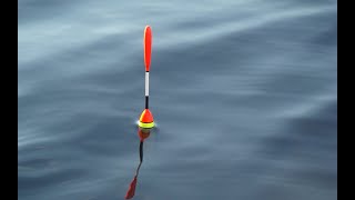 Способы ловля уклейки весной на поплавочную удочку