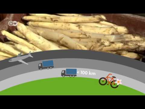 download lagu mp3 mp4 Food Transport, download lagu Food Transport gratis, unduh video klip Food Transport