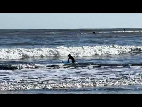 Bolinas beach Spring 2022