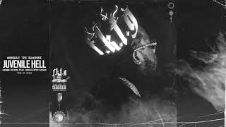 Conway The Machine - Juvenile Hell (Ft. Havoc, Flee Lord &amp; Lloyd Banks) (Audio)