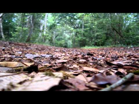 Jane Maximova - Murakami (Deep Active Sound Remix)