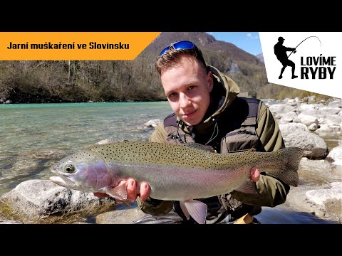 Jarní muškaření e Slovinsku