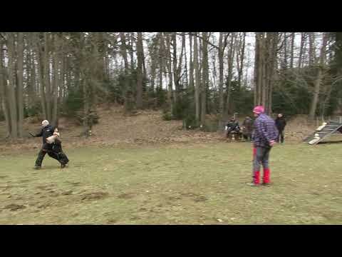 Gorby vom Schwarzen Grat training