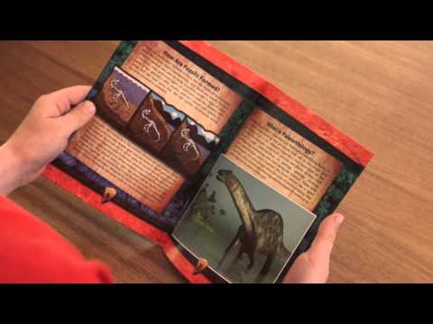 Picking Discover with Dr Cool Dinosaur Excavation Triceratops Dig Kit | unsinterpreter