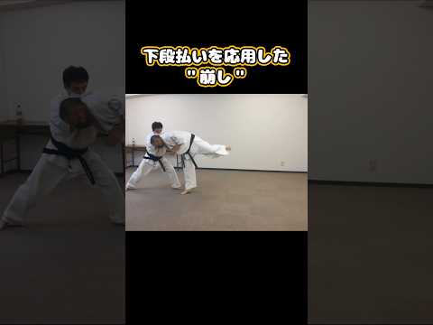 【三浦空手】崩しの下段払い #karate #shorts
