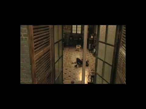 IP Man sparring session