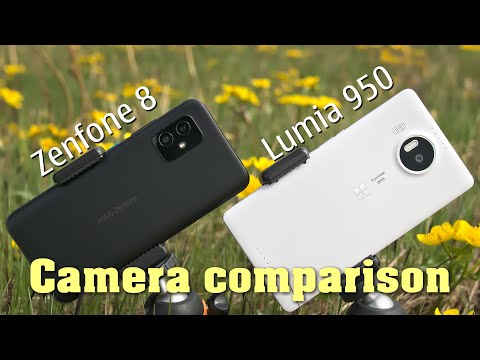 Asus Zenfone 8 vs. Lumia 950 XL - camera comparison
