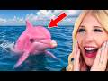 Craziest Animals That ACTUALLY Exist! DEFAULT Thumbnail