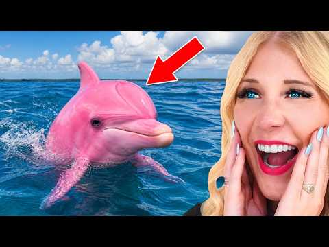 Craziest Animals That ACTUALLY Exist!