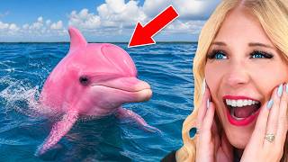 Craziest Animals That ACTUALLY Exist! MQDEFAULT Thumbnail