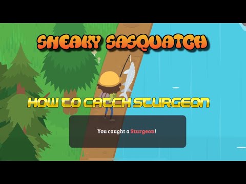 Sneaky Sasquatch Info - How to catch Sturgeon [Apple Arcade]