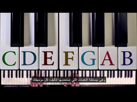 🆕learn Music Theory 🏻 Music Theory 101 New Video