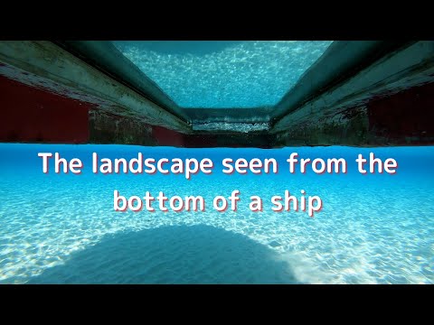 【ヨロン島紹介】～グラスボートの下の景色～