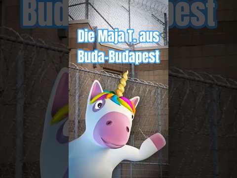 Die Maja T. aus Buda-Budapest (in Ungarn kann man keine Regenbogenfahnen sehen) #orbán #ungarn