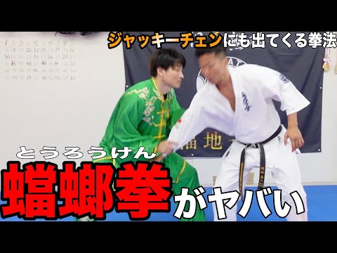 中国拳法【蟷螂拳の達人】の技がヤバすぎる
