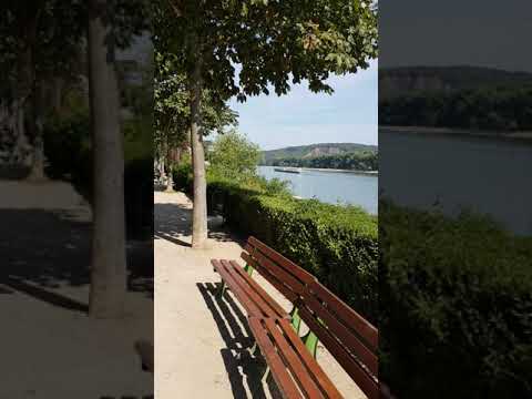 منتزه قريب من شاطئ نهر الراين في المانيا -- تصوير Ihab Mix