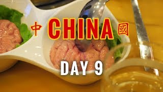 We ate Pig Brains at Hotpot near Xihu (West Lake), Hangzhou // China Vlog 9 // 2017.4.29