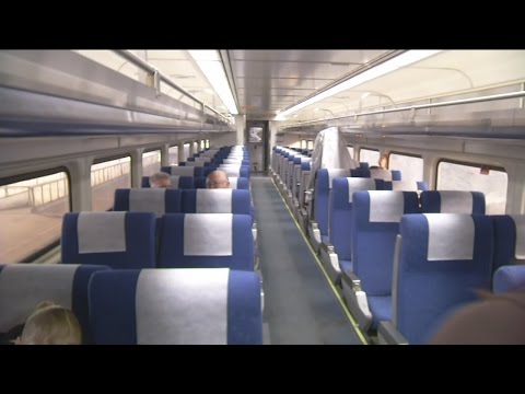 Pets now allowed on Amtrak