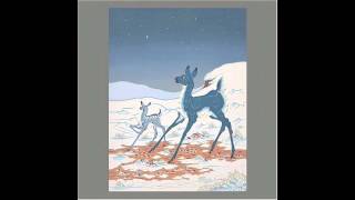 Tortoise & Bonnie 'Prince' Billy - Cravo É Canela