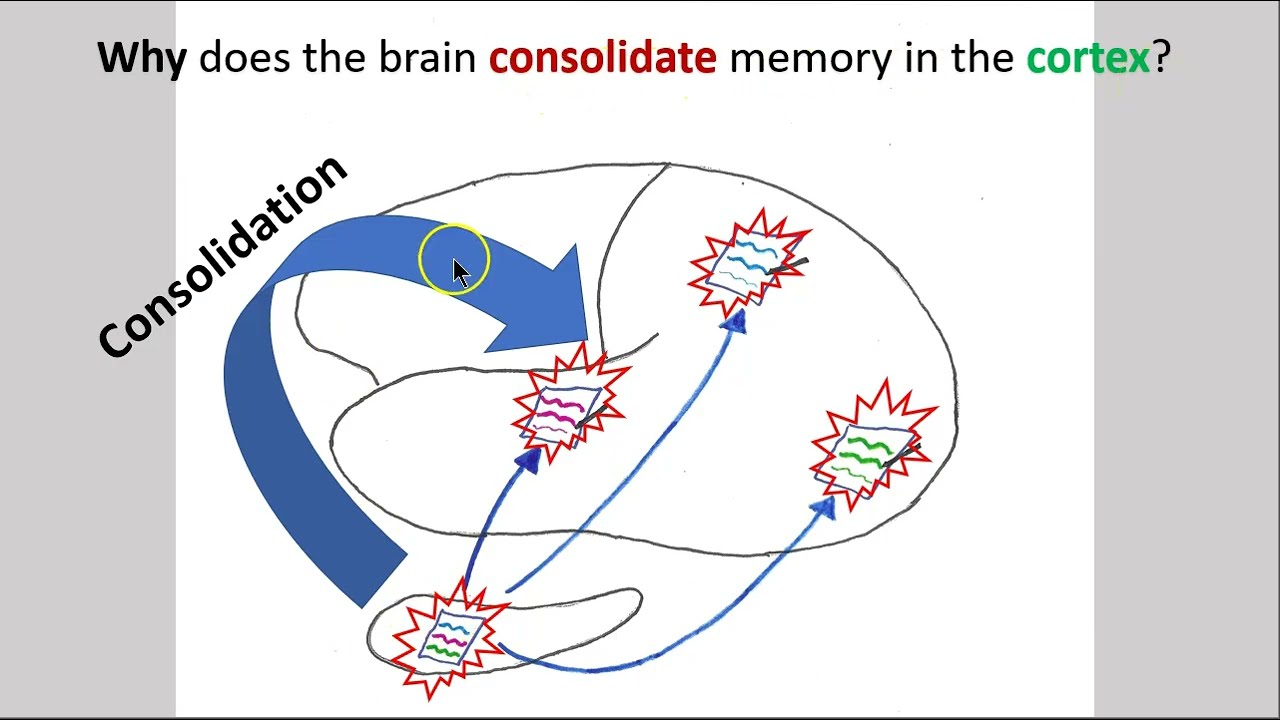 Creating and using a memory part 2