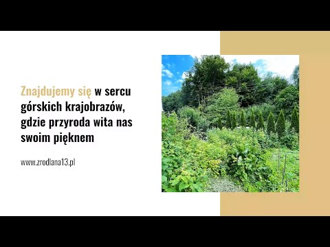 Apartamenty Ewa Czaja - video