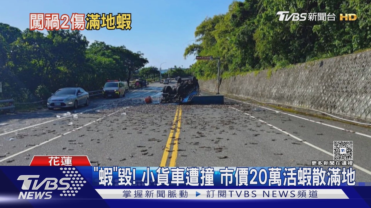 台11線恍神翻車！鮮蝦噴飛鋪滿路　警民烈日彎腰上演撿蝦大作戰